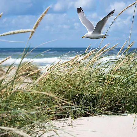In Near The * Knokke-Heist